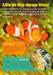 Ocean animals Book cover